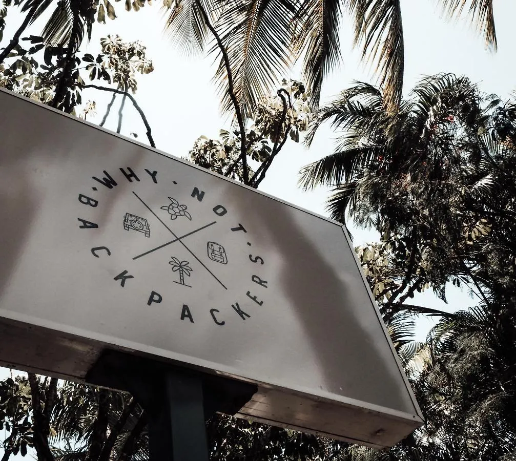 Why Not Backpackers Hostel Cairns Australia